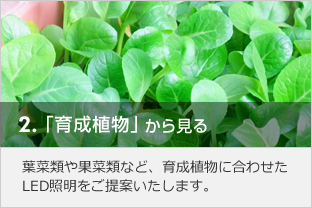 育成植物から見る